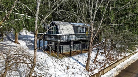 Treehouse Chalet Wood Fireplace Wraparound Porch Chalet in Cattaraugus