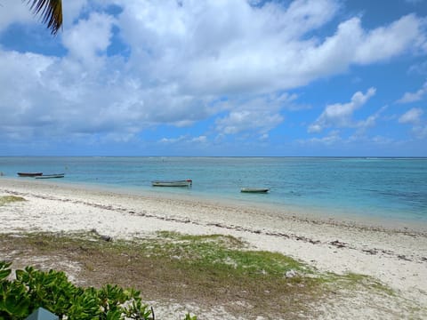 Natural landscape, Beach