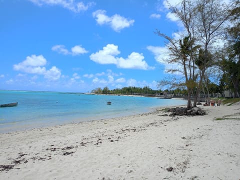 Natural landscape, Beach