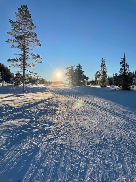 Natural landscape, Winter