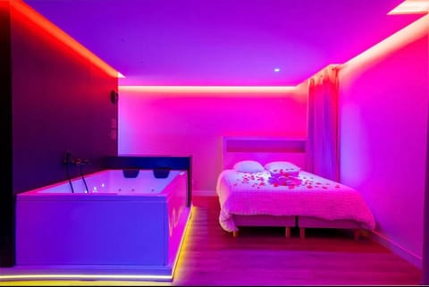 LOVE ROOM SAUNA,JACCUZZI Netflix Tours Apartment in Tours
