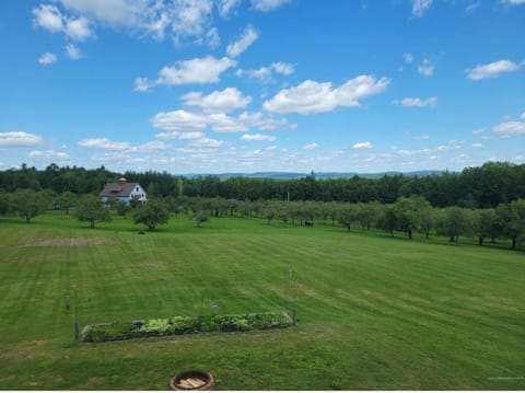 Natural landscape, Garden, Garden view