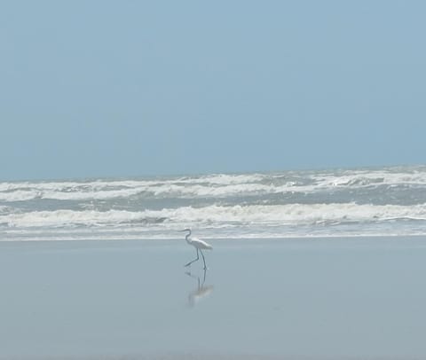 Conforto a Beira Mar House in Aracaju