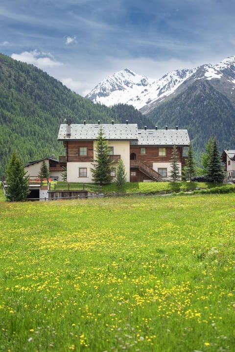 Spring, Day, Natural landscape, Mountain view