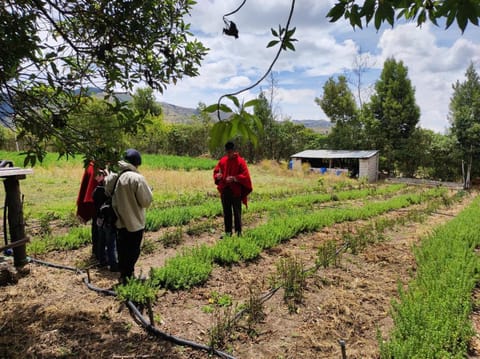 AGROFINCA TURISTICA El Guayama Farm Stay in Cotopaxi, Ecuador