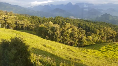 casa de guadua Vacation rental in Manizales