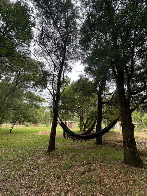 ALF cuántico House in Maldonado Department, Uruguay