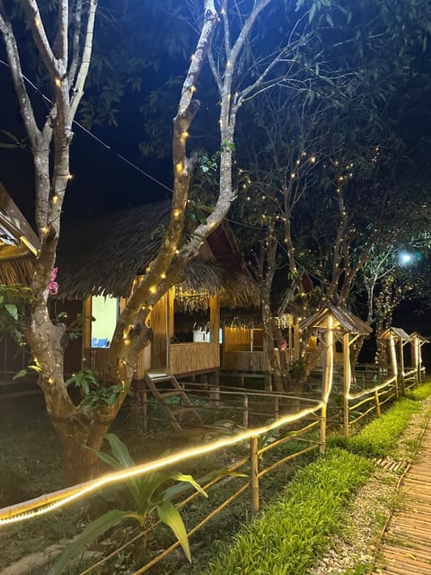 Property building, Night, Garden view