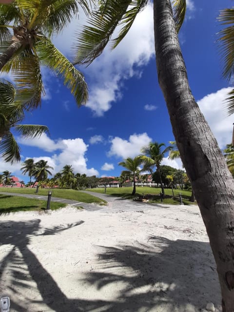 Beach, Sea view