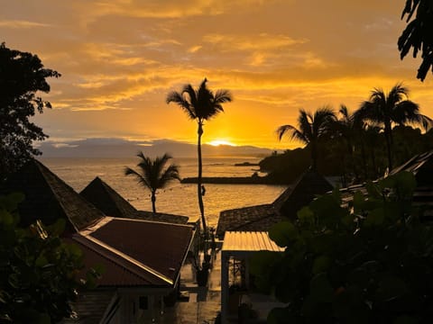 Natural landscape, Sea view, Sunset