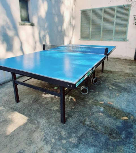 Table tennis, Table tennis