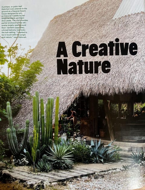 cabaña a pasos del mar en la costa House in Brisas de Zicatela