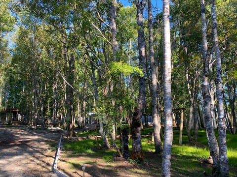 Boker Tov Pucon Campground/ 
RV Resort in Pucon