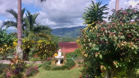 Natural landscape, Garden, Garden view, Mountain view