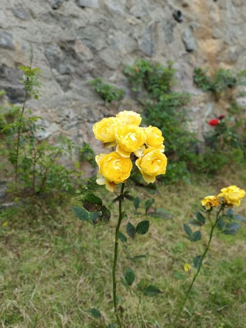 KODAI RiYA PARADISE Villa in Kodaikanal