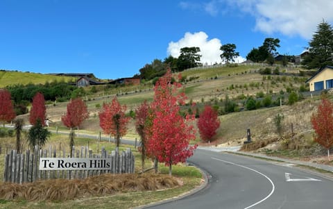 Neighbourhood, Autumn, Street view