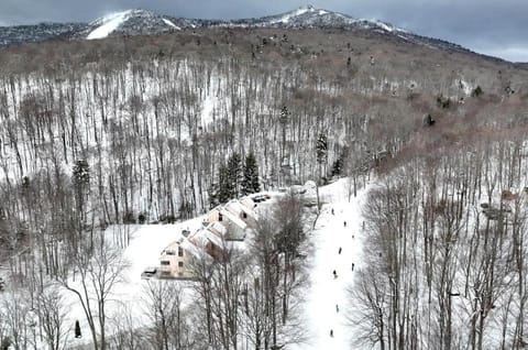 Trailside Village #8 - Slopeside 3BR with Hot Tub and Sauna, Ski In Ski Out with Lift Ticket Deals House in Killington