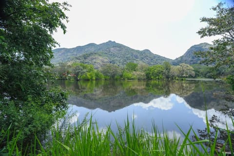 Mango Garden Dambulla Villa in Dambulla