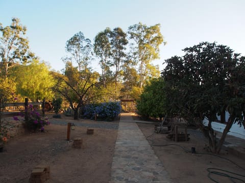 Casa Mayoral B&B Pet friendly Bed and Breakfast in State of Baja California