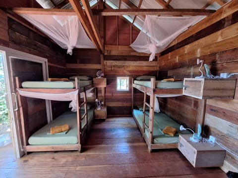 Bed, Bedroom, bunk bed