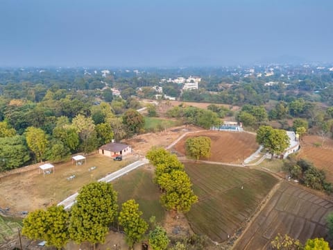 Natural landscape, Bird's eye view, Garden