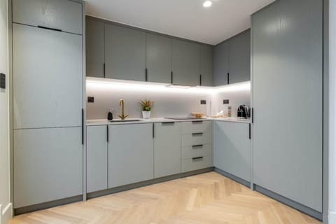 Kitchen or kitchenette, dishwasher, oven