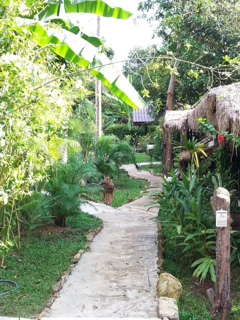 Lucky Gecko Garden Bed and Breakfast in Koh Chang Tai