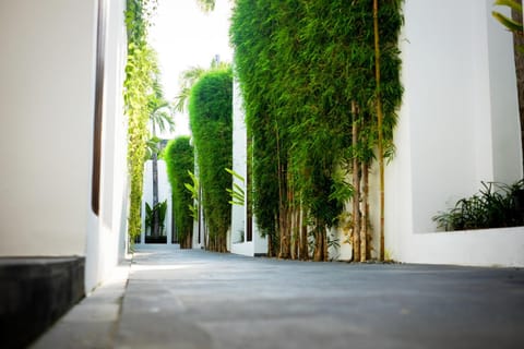 Facade/entrance, Garden