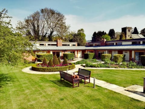 Patio, Garden, Garden, Garden view