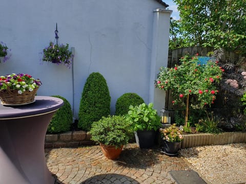 B&B Carpe Diem Bed and Breakfast in Limburg (province)