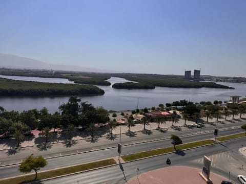 Garden, City view