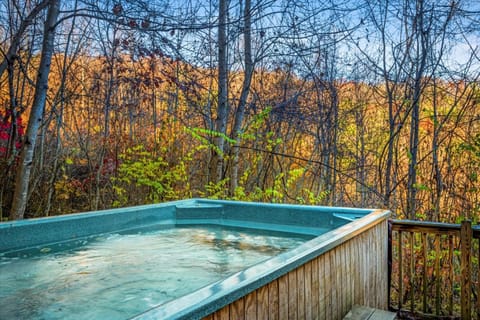 Smoky Mountain Chalet with Swim Spa- Theater- Pool Table- Pet Friendly Chalet in Gatlinburg