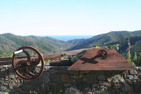 Day, Mountain view