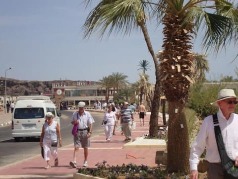 El Kheima Beach Resort Resort in South Sinai Governorate