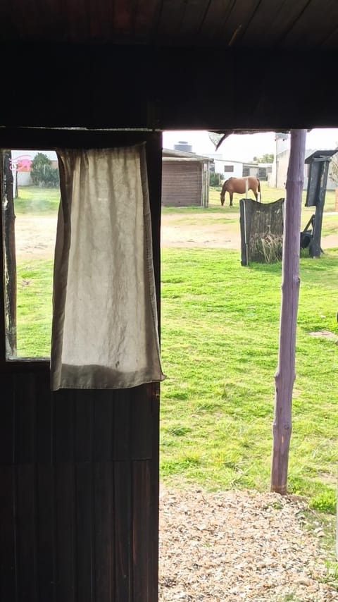 Tiny House Bed and Breakfast in Rocha Department, Uruguay