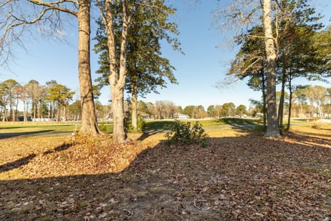 Day, Natural landscape, Garden view