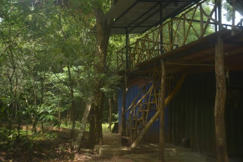 Forest Camping Fun Hostel Hostel in Dambulla