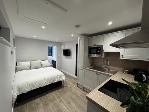 Bed, TV and multimedia, Kitchen or kitchenette, Photo of the whole room, Bedroom, stove