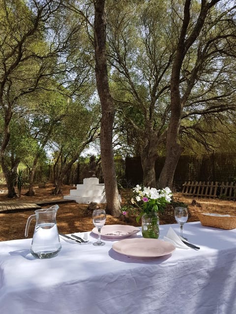 El Refugio de las marismas House in La Janda