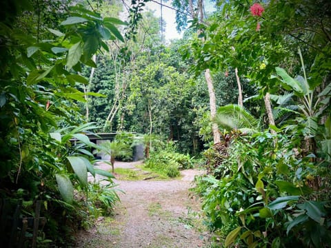 Facade/entrance, Natural landscape