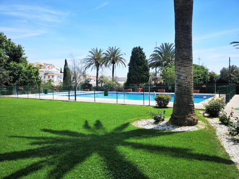 Garden, Pool view, Swimming pool