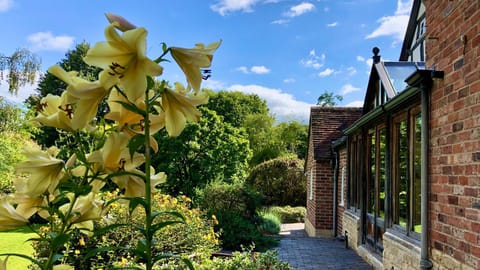 Property building, Garden, Garden view