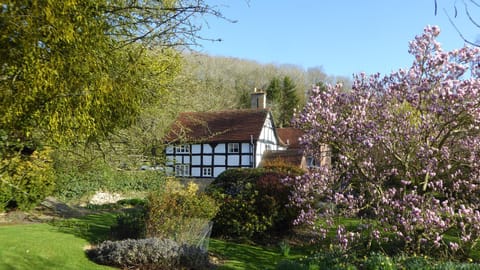 Property building, Garden, Garden view