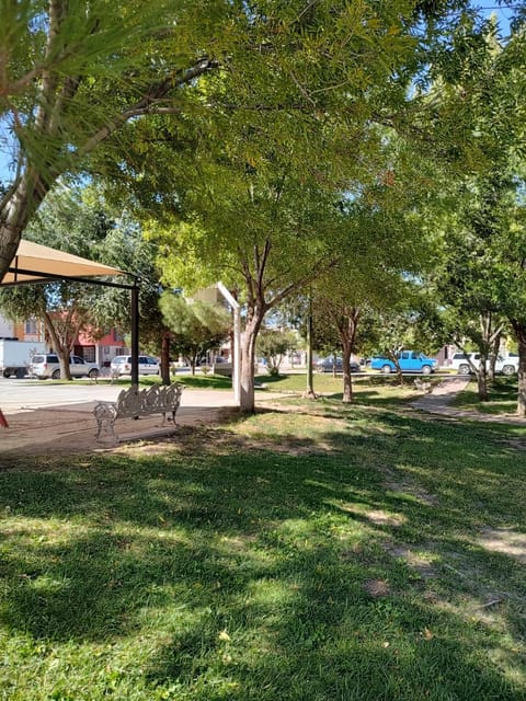 Children play ground