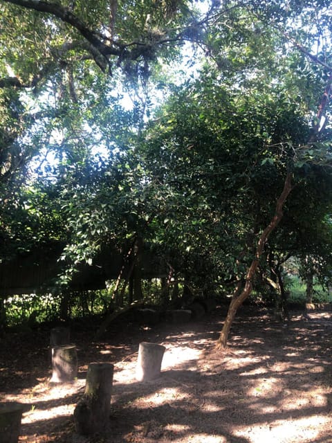 Casa verão Garopaba House in Garopaba