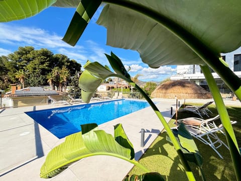 Day, Garden, Garden view, Pool view, Swimming pool, sunbed