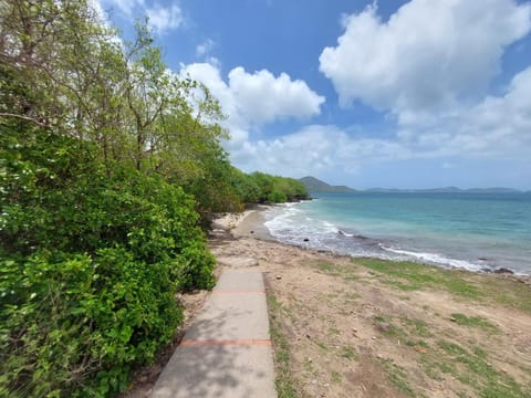 Nearby landmark, Beach, Sea view