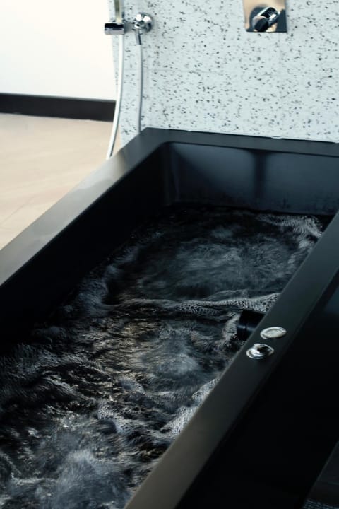 Luxe Wellness Suite Zaandam - Amsterdam Apartment in Zaandam