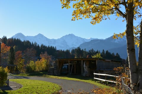 Facade/entrance, Mountain view, Street view