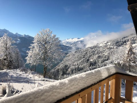 Winter, View (from property/room), Balcony/Terrace, Lake view, Mountain view